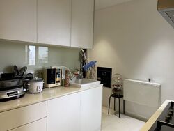 Ardmore Park (D10), Condominium #367992381